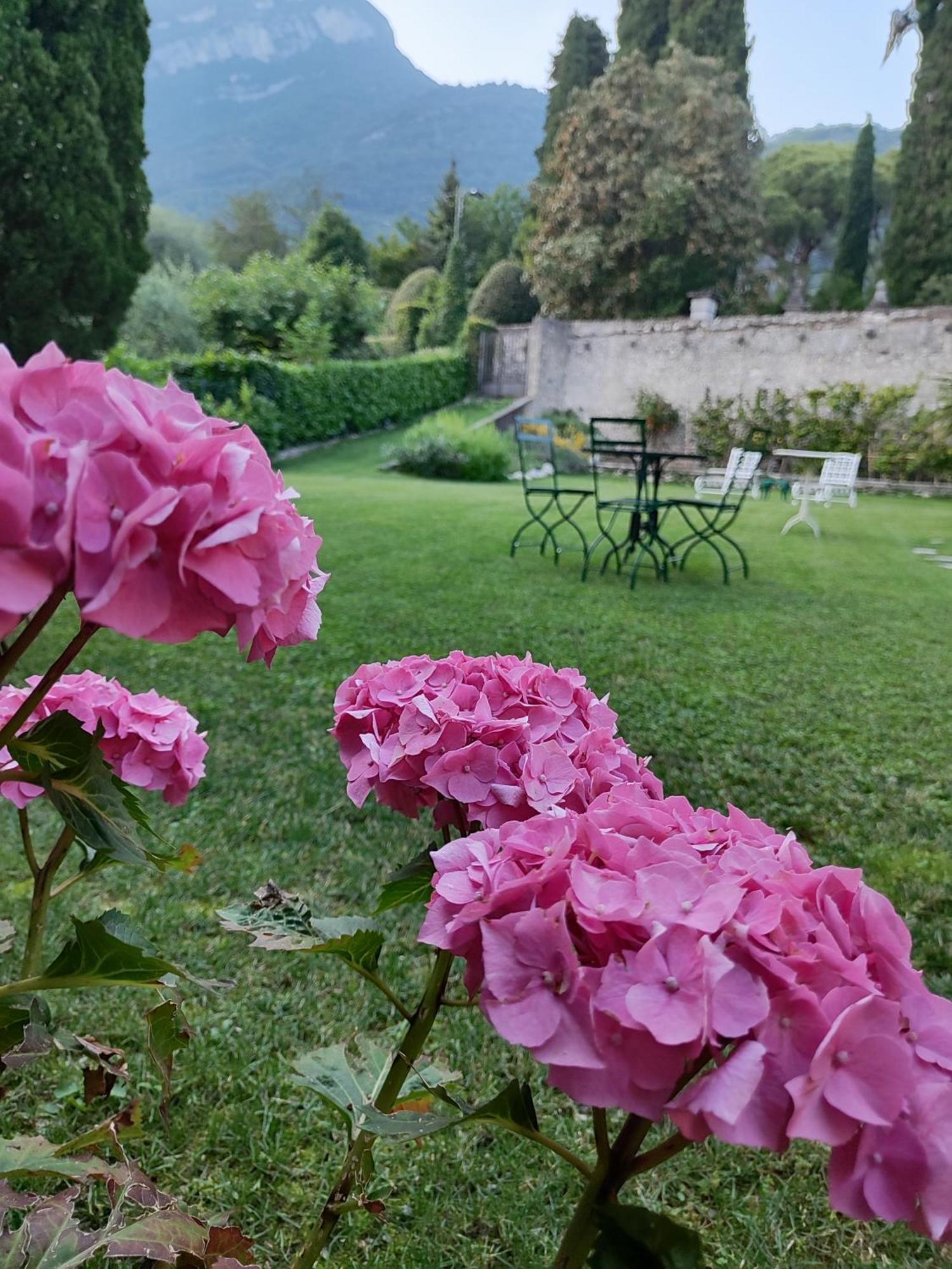 Casa Lumaca Bed and Breakfast Tremezzo Eksteriør billede