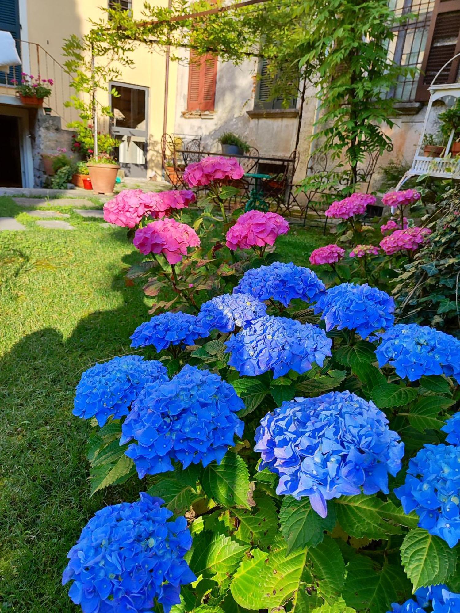 Casa Lumaca Bed and Breakfast Tremezzo Eksteriør billede